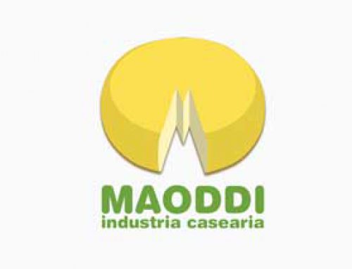 Maoddi Logo design
